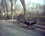 парк "Дубки", 2003 год